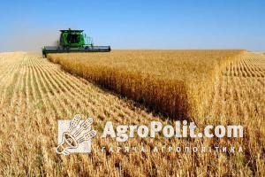 Прогноз врожаю пшениці в Україні в новому маркетинговому році підвищено на 3 млн тонн