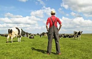 В Україна пропонують оновити класифікацію фермерських господарств