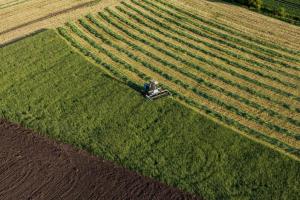 В Україні знижується середня ціна 1 га оренди та купівлі сільськогосподарської землі.