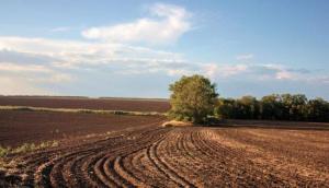 В Україні створять автоматизований моніторинг земельних відносин