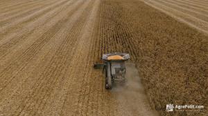 Україна зібрала рекордний урожай зернових за всю історію — Мінагрополітики 