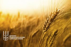 ДПЗКУ закупила понад 200 тис. т зерна нового врожаю