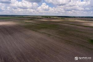 Ринок землі: за останню добу в Україні здійснено 1 055 земельних операцій