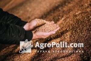 У Держрезерві заявили про критично низькі запаси зерна