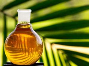 ВРУ підтримала законопроект про заборону пальмової олії у харчових продуктах