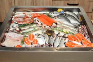 Від початку року експортовано понад 6 тис. т української риби та інших водних біоресурсів