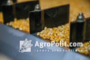 В Україні збільшився експорт сільгосптоварів — інфорграфіка
