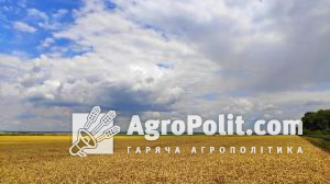 Озвучено недоліки роботи ринку землі в Україні у перші 100 днів