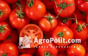 На Хмельниччині Держпродспоживслужба виявила небезпечний карантинний організм у томатах