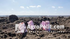 Ринок землі в Україні — місячна аналітика операцій купівлі-продажу паїв за жовтень