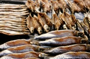 Виробництво копченої риби збільшилося майже на 10%, — Держрибагентство