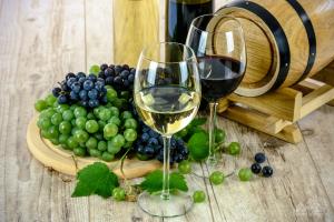 В Україні створять Єдиний реєстр виноградників та виноградарських насаджень