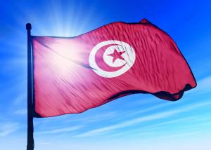 Туніс готовий до початку переговорів про ЗВТ з Україною з 2022 року, — посол України