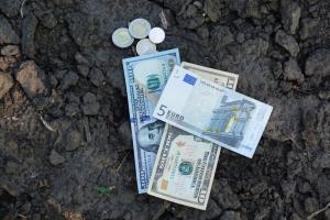 Євросоюз виділить €50 млн на поповнення капіталу Фонду часткового гарантування кредитів у сільському господарстві — Лещенко