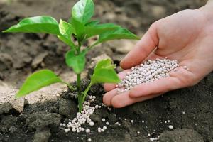 Озвучено потреби аграріїв в азотних добривах для весняної посівної 