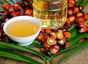 Аграрний комітет підтримав заборону пальмової олії у харчових продуктах