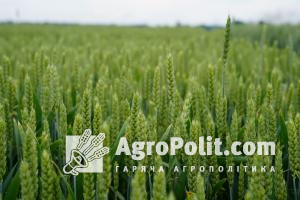 Названо ТОП-3 області за зростанням сільгоспвиробництва