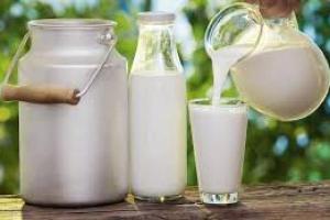 Торік в Україні надходження молока на переробку скоротилося на 9%