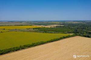 Ринок землі пожвавився: в Україні продали 2022 земельні ділянки за минулий тиждень
