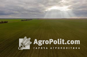 Країни G7 та ООН забезпечать українських аграріїв паливно-мастильними матеріалами для проведення посівної кампанії