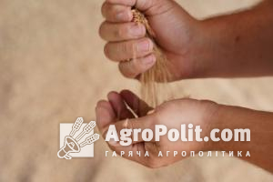 Уряд має викупити резервне зерно у аграріїв за 80-90% вартості, — експерт