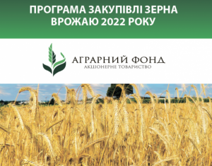 Аграрний фонд розпочинає весняну кампанію закупівлі зерна врожаю 2022 року