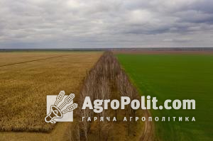 Близько 10% площ в Україні можуть залишитися невикористаними під час посівної кампанії через ризик їх замінування