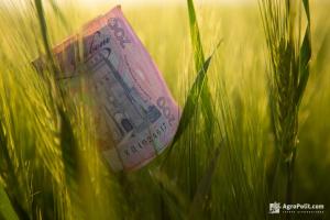 Банки видали аграріям кредитів майже на 5 млрд грн
