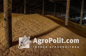 Німеччина організує перевезення зерна з України