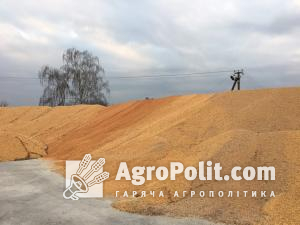 Уряд закликали викупити зерно у аграріїв та створити державний резерв