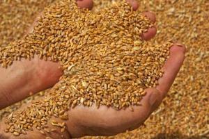 Світові ціни на пшеницю підскочили після обстрілу найбільшого порту в Миколаєві
