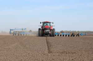 В Україні змінилася структура посівних площ: більше засіяли ярої пшениці та сої