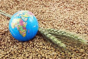 Аграрії експортували на 1/3 менше зернових та зернобобових у 2022 році