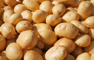 Експерт розповів, чи буде Україна забезпечена картоплею у найближчий рік