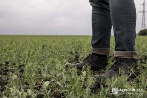 Ринок землі: озвучено вартість 1 га землі в Україні за минулий тиждень