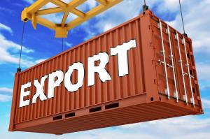 Сольський закликав Європу розширити експортні шляхи для вивезення аграрної продукції з України