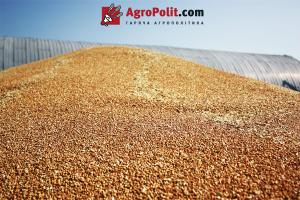 «Зернова угода» сприяла зниженню цін на продовольство у світі – ФАО