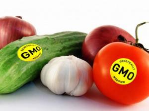 Аграрний комітет рекомендував прийняти у другому читанні законопроект щодо державного контролю за ГМО-продукцією
