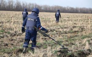Експерти розповіли, як відроджуватимуть українські ґрунти, забруднені вибухівкою