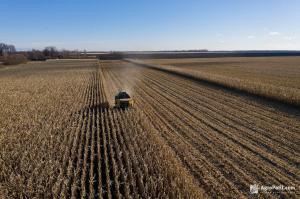 В Україні 25% сільгоспвиробників скоротили або припинили діяльність через війну – ООН