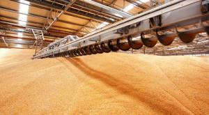USAID надасть українським аграріям гранти для зберігання та сушіння зерна