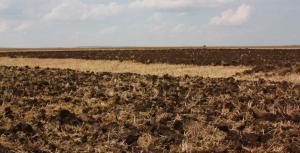росія завдала збитків земельним та водним ресурсам України на понад 1, 5 трлн грн