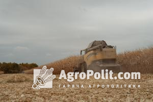 На ціну українських зернових тиснуть перехідні запаси