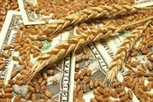 Рада прийняла в цілому законопроєкт щодо повернення валютної виручки при експорті зерна