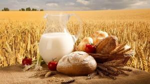 В Україні пропонують встановити штраф за підробку сільгосппродукції 13 млн гривень