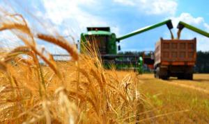 Озвучено загальну структуру українського аграрного виробництва за 2022 рік