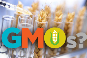 В Україні хочуть встановити державний контроль за ГМО продукцією