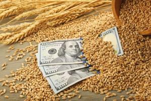 Зерновий експорт сягнув 30 млн т