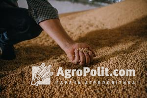 Окупанти переправляють українське зерно у Сирію