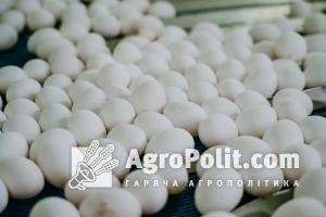Яйця за рік в Україні подорожчали на 80,3%;